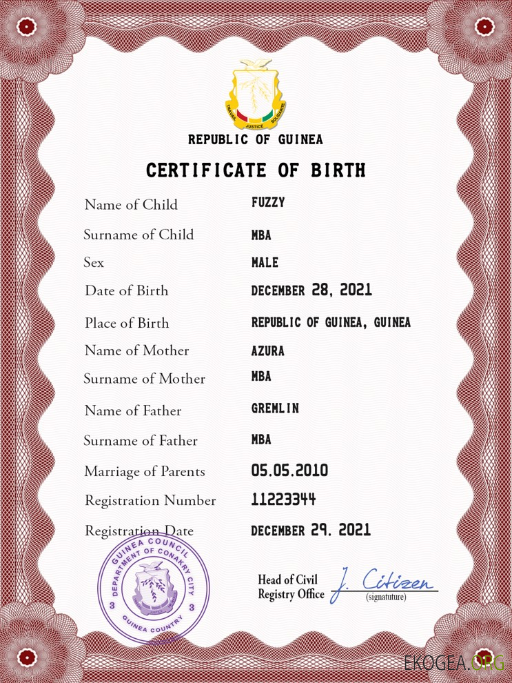 Modèle PSD de certificat de naissance de l'état civil de Guinée